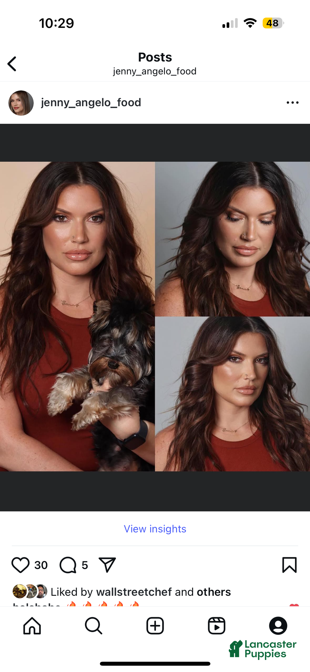 Gallery Image {{count}}