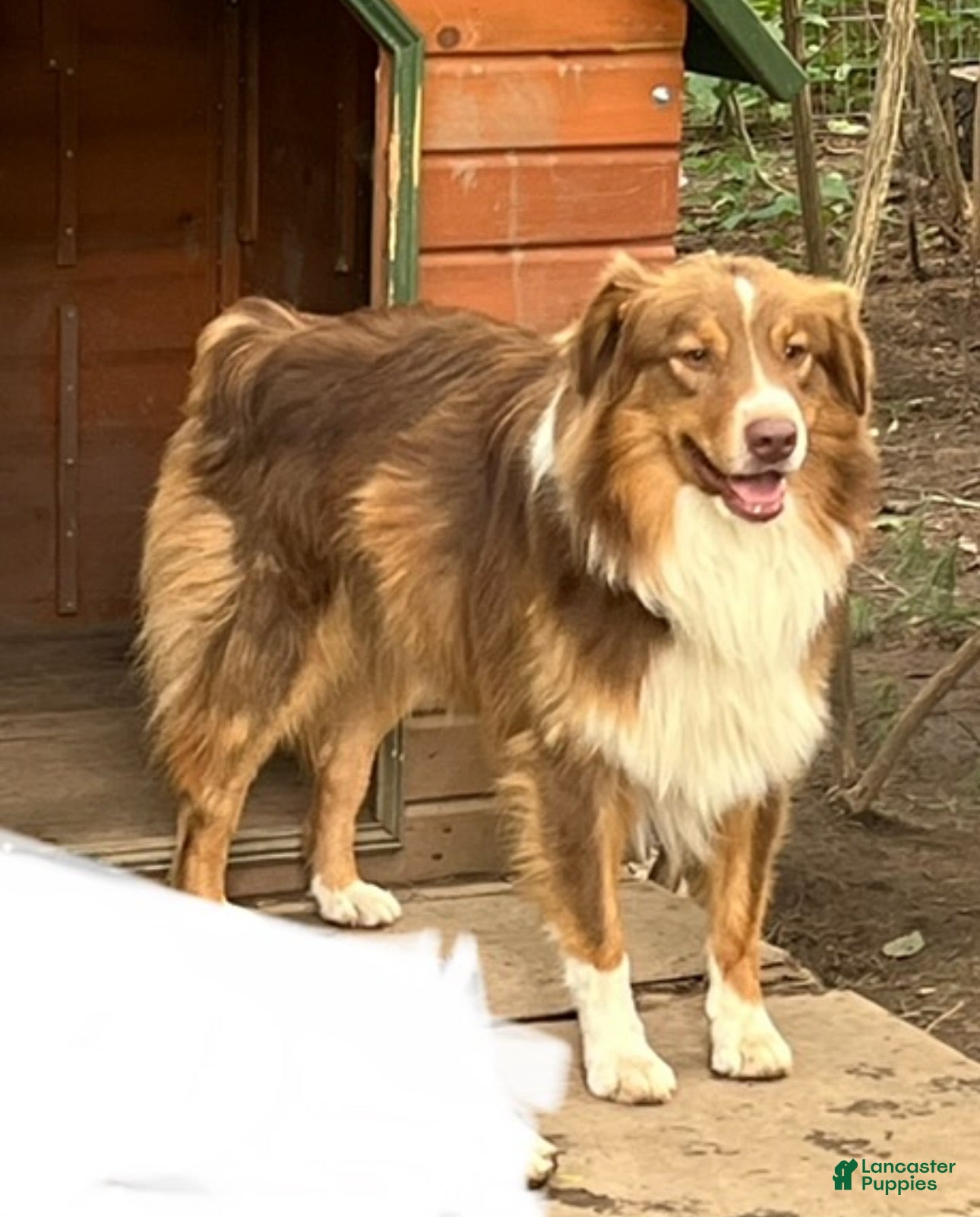 Matilda