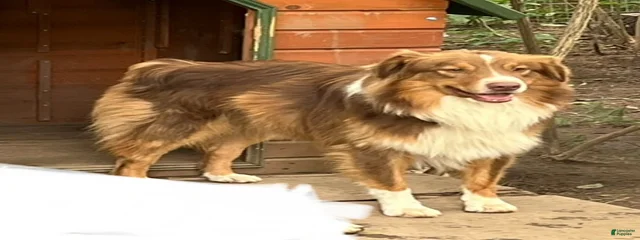 Matilda