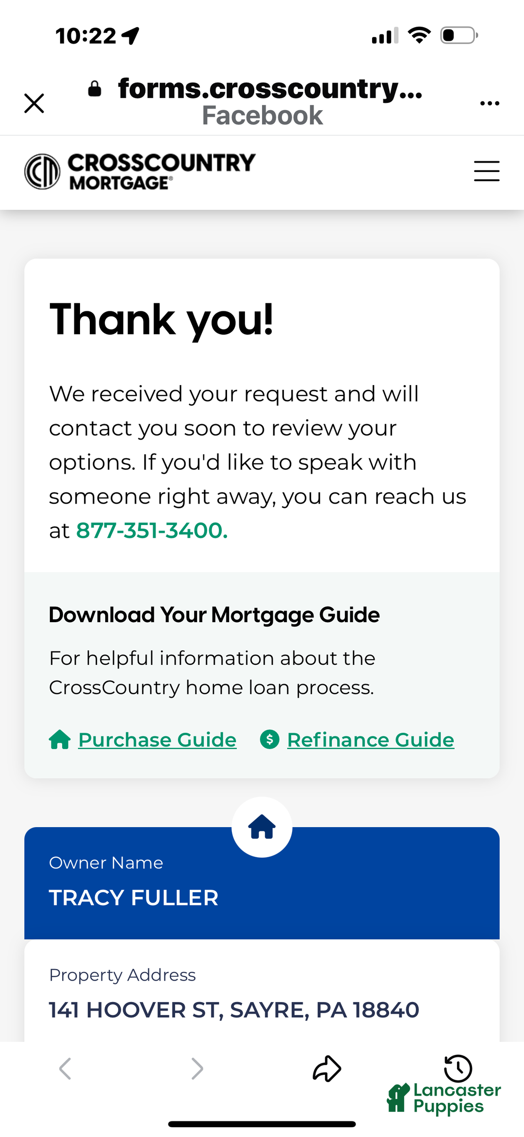 Yorkshire Terrier dogs for sale: Moes Tiny baby boy - Ad 2