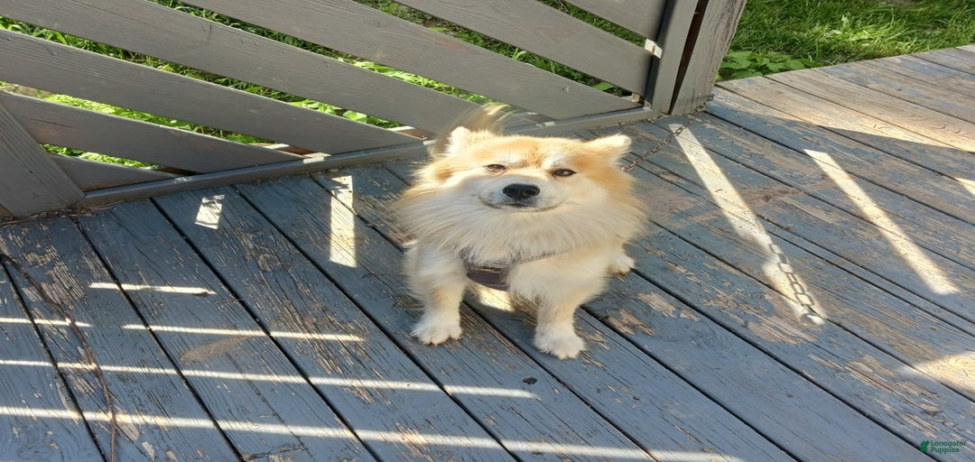 Gallery Image {{count}}