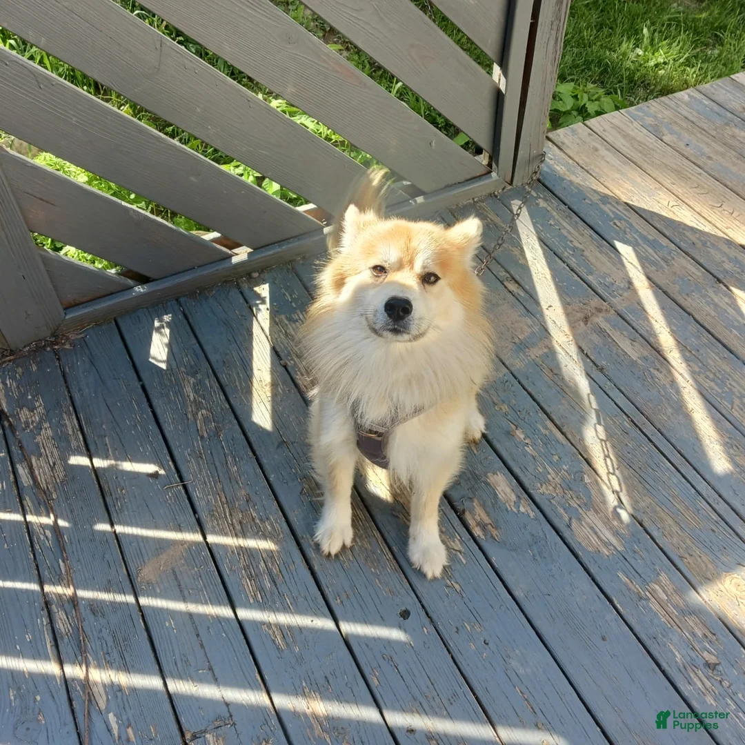 Gallery Image {{count}}