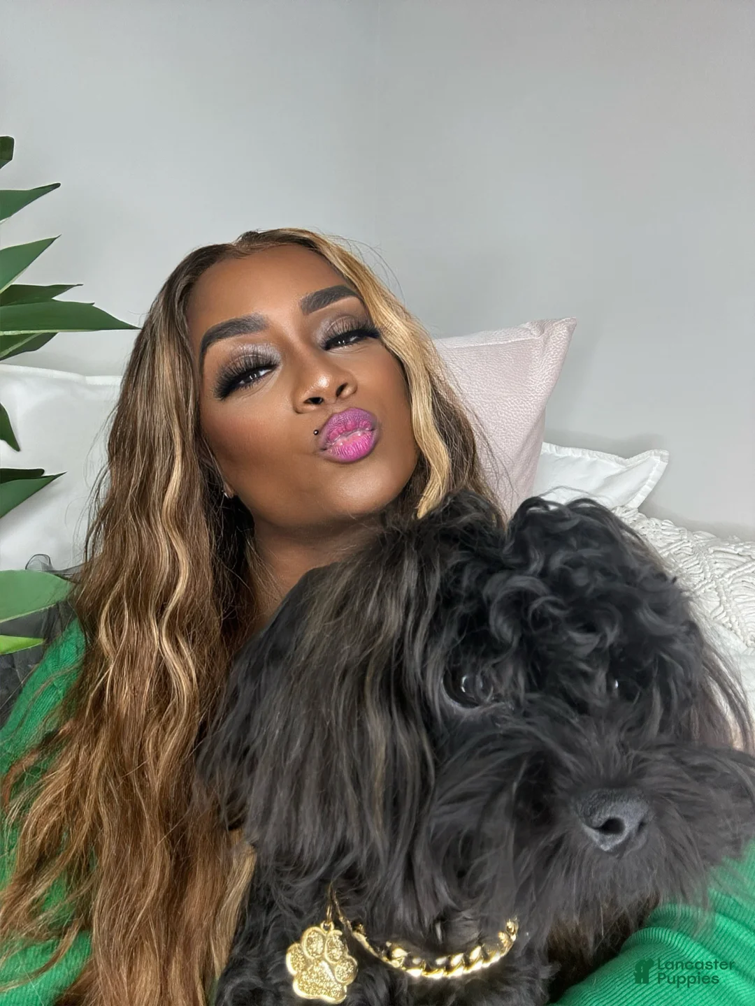 Gallery Image {{count}}