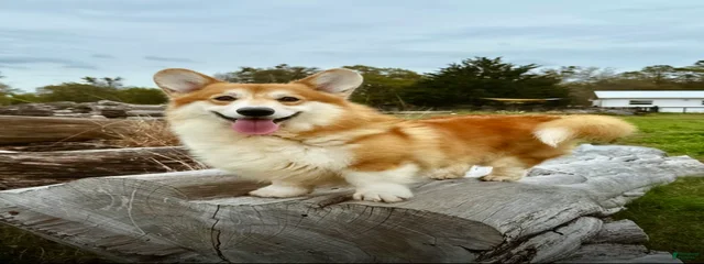 Rio