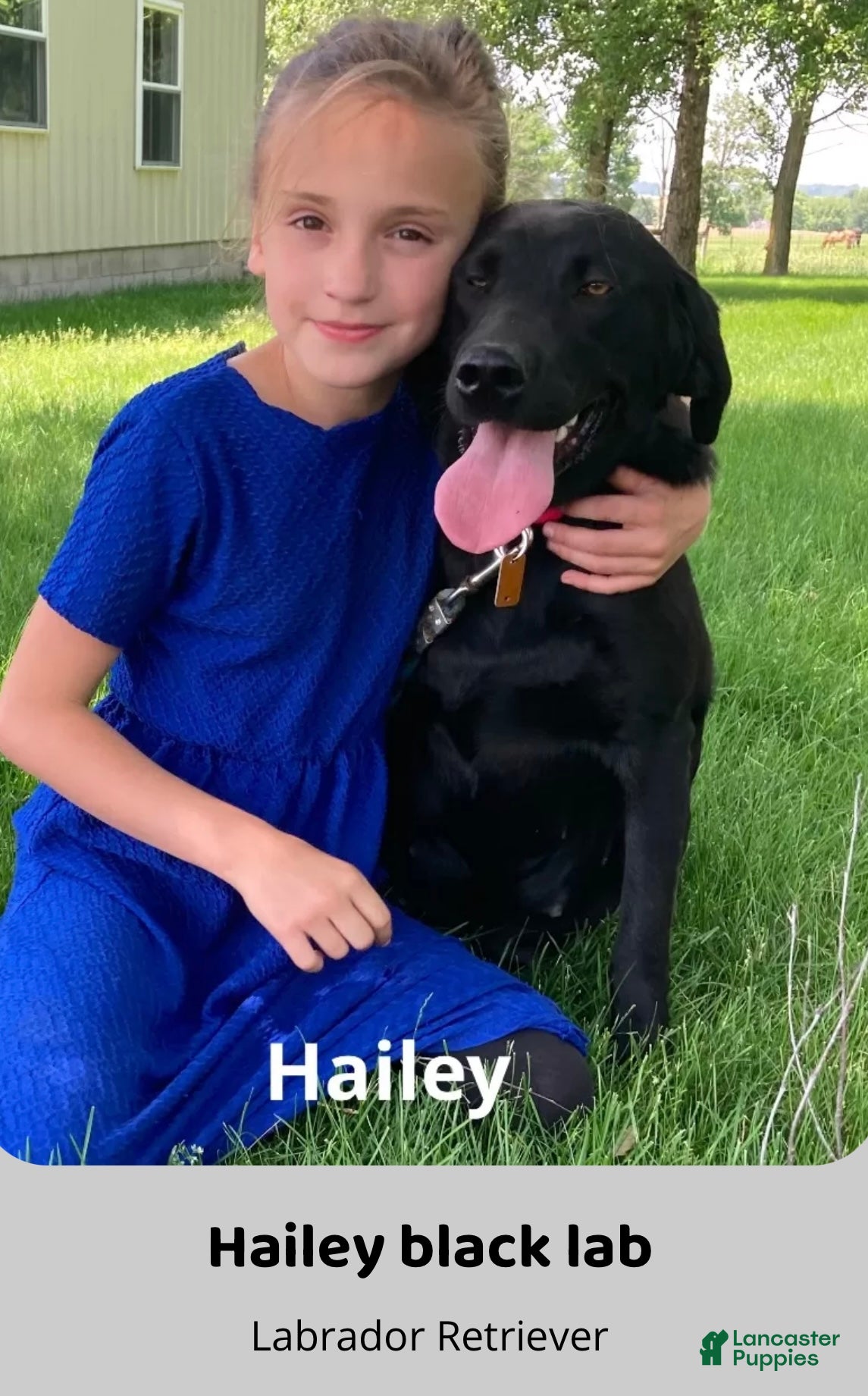 Hailey