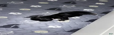 Tiny