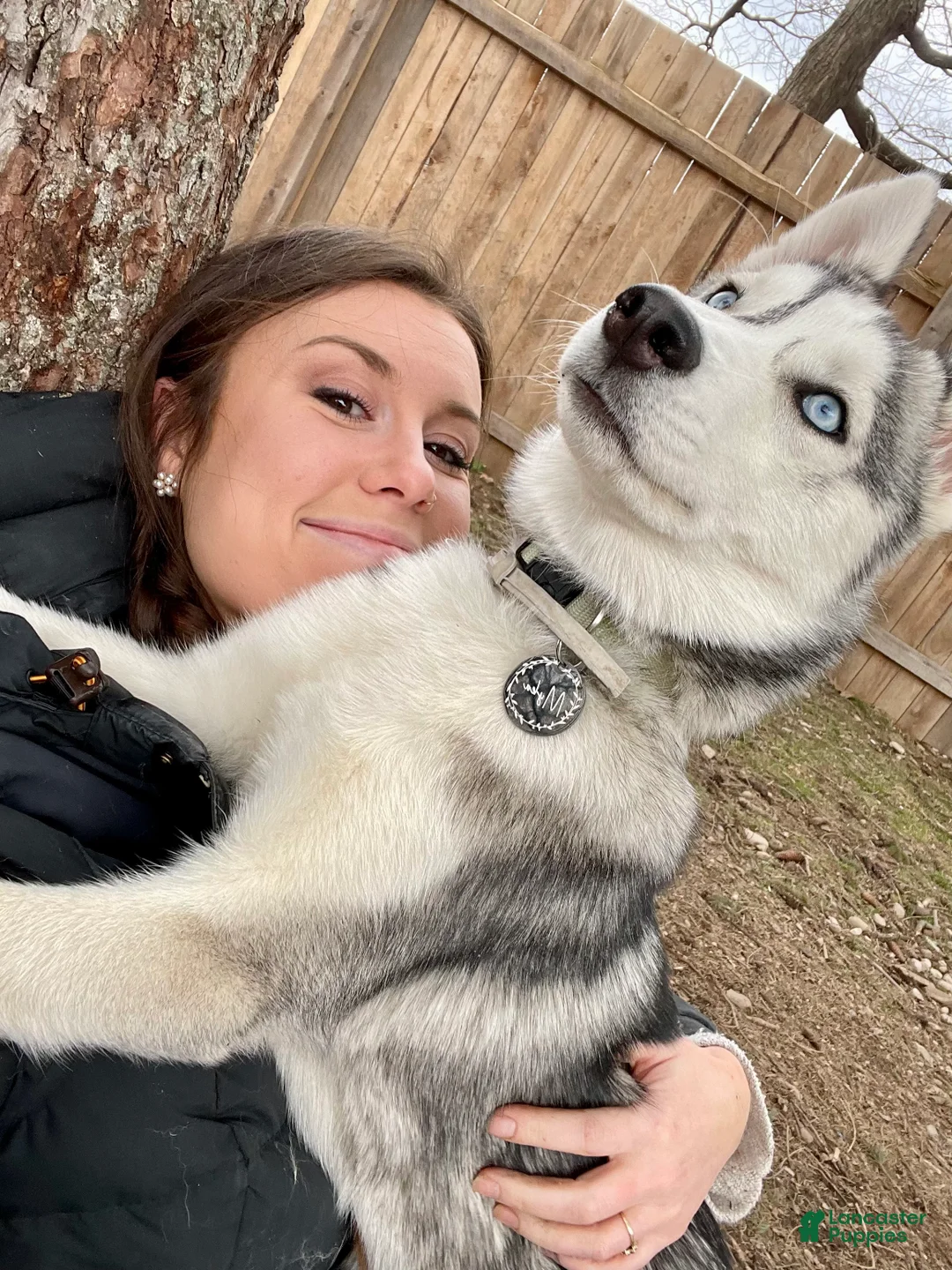 Gallery Image {{count}}