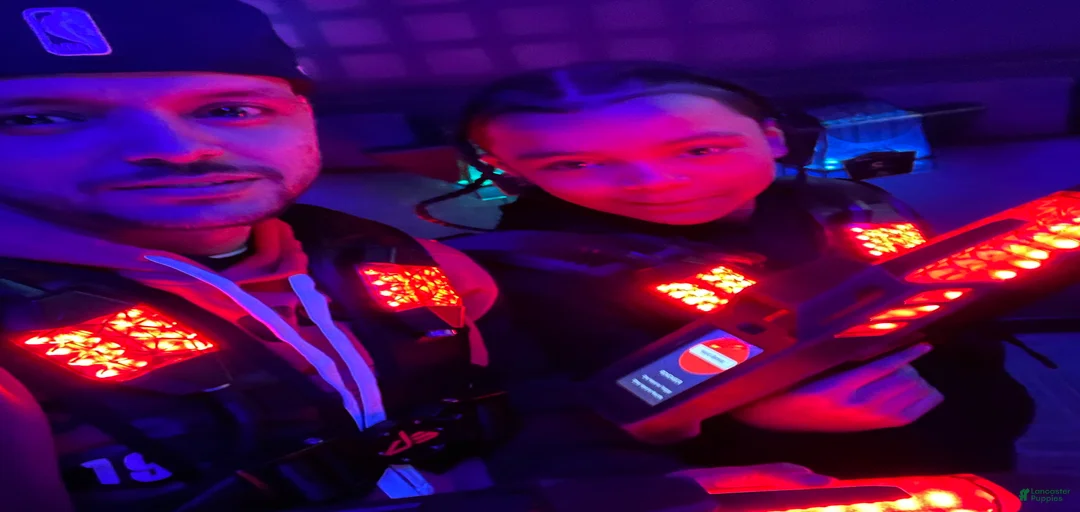 Gallery Image {{count}}