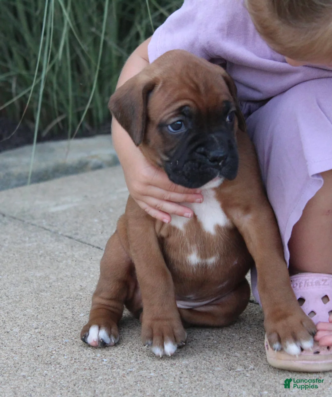 Gallery Image {{count}}