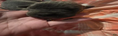 Gray Male 5
