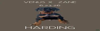 Harding