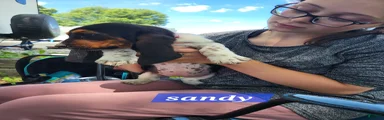 Sandy