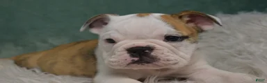 Winnie 