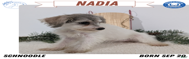 Nadia
