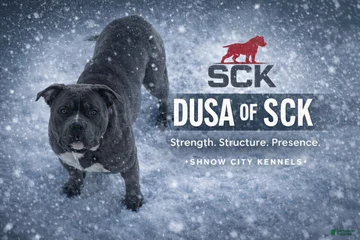 Dusa