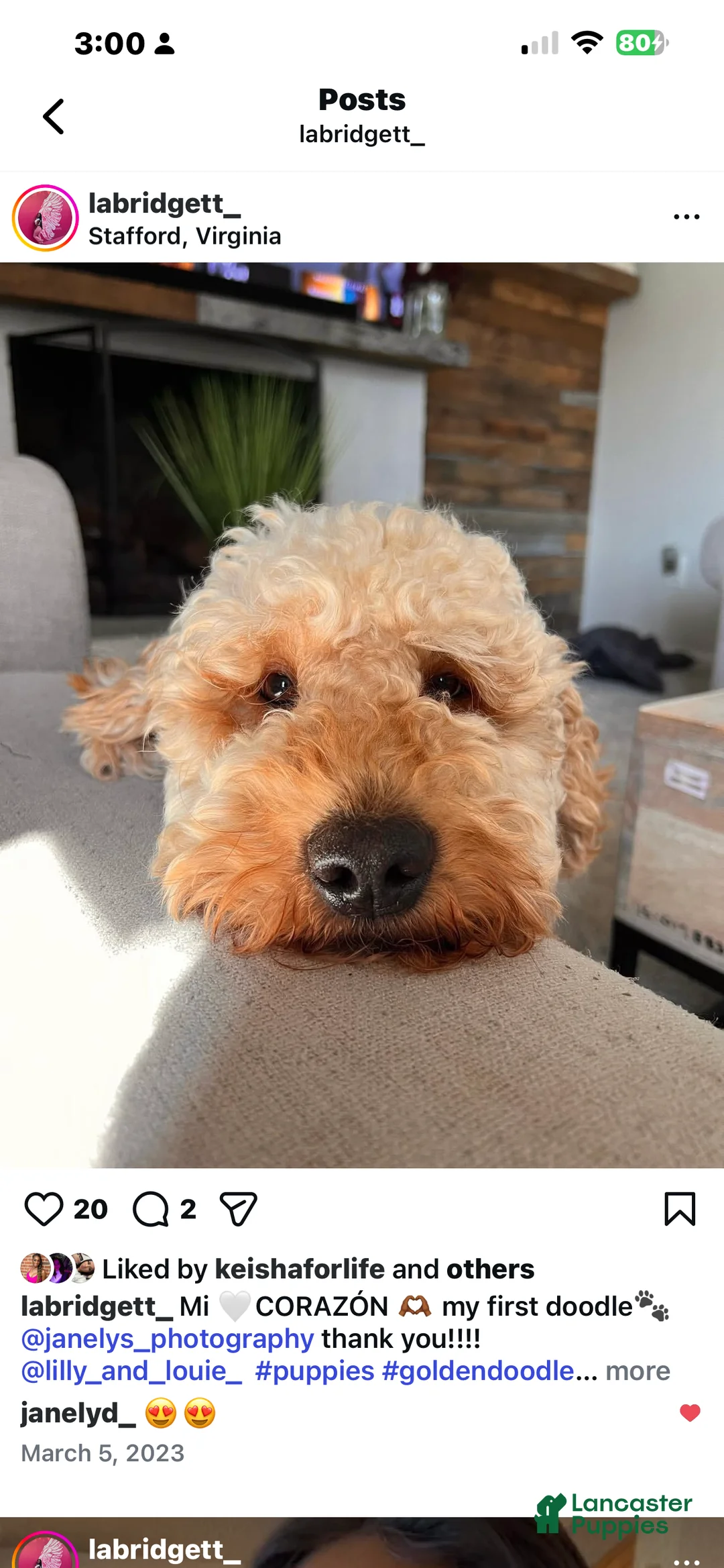 Gallery Image {{count}}