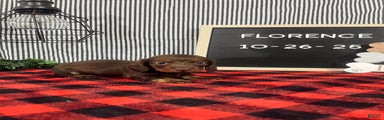 Florence