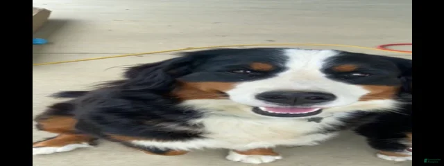 Sally