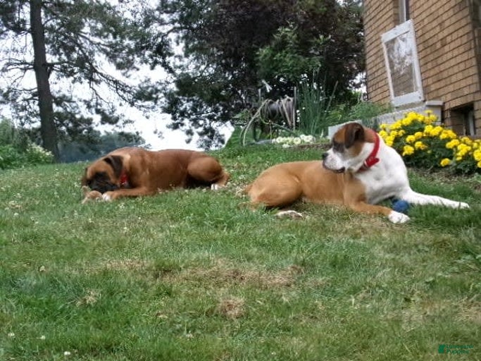 Gallery Image {{count}}