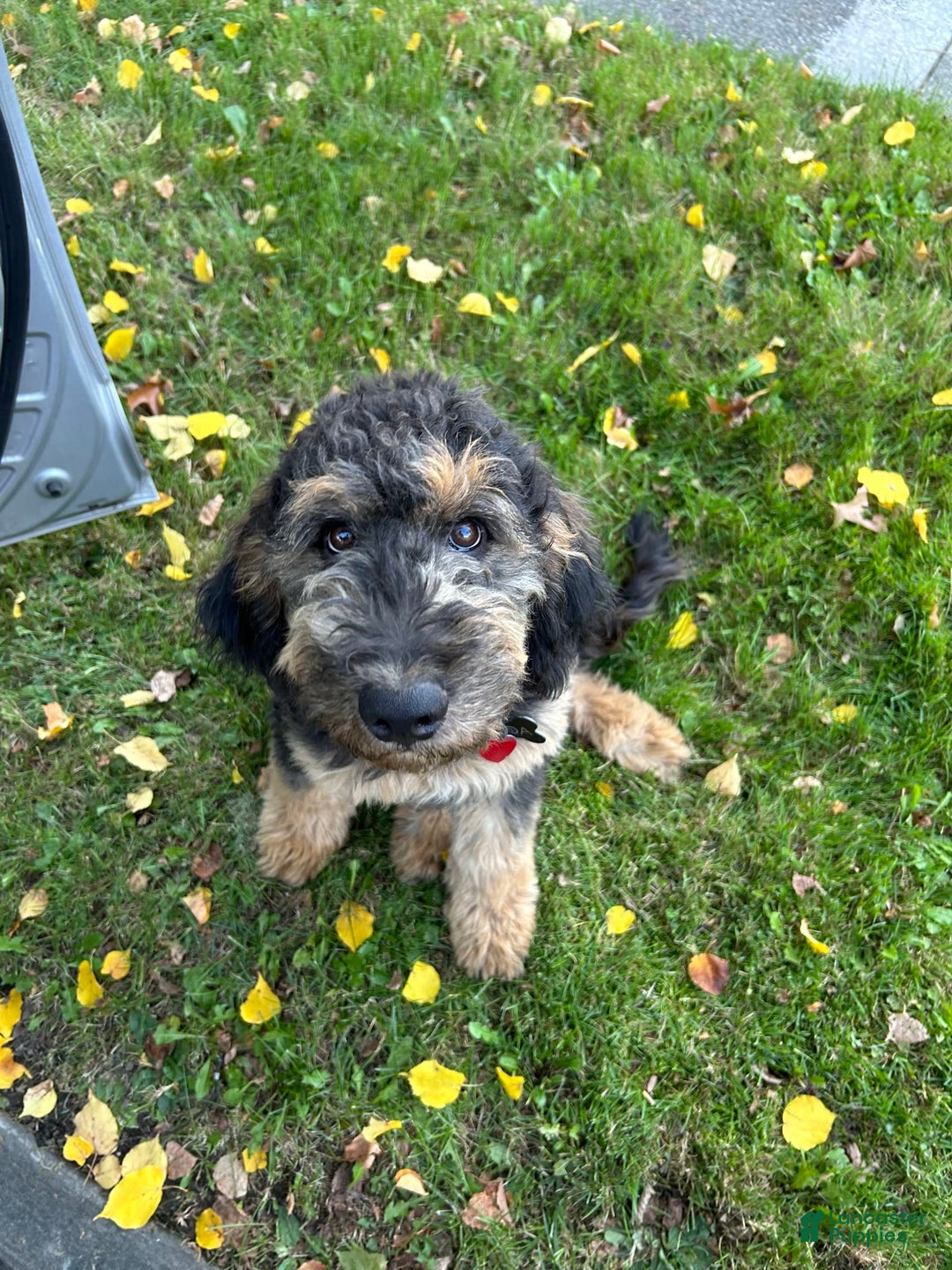 Gallery Image {{count}}