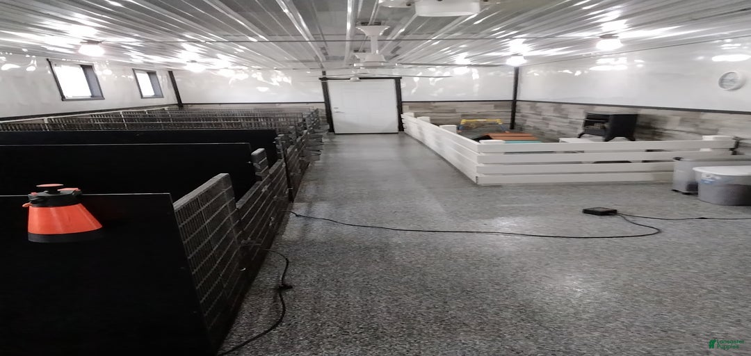 Gallery Image {{count}}