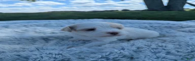 Flurry 