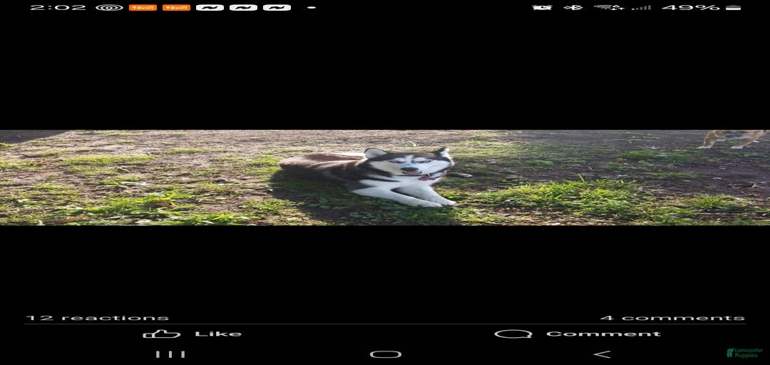 Gallery Image {{count}}