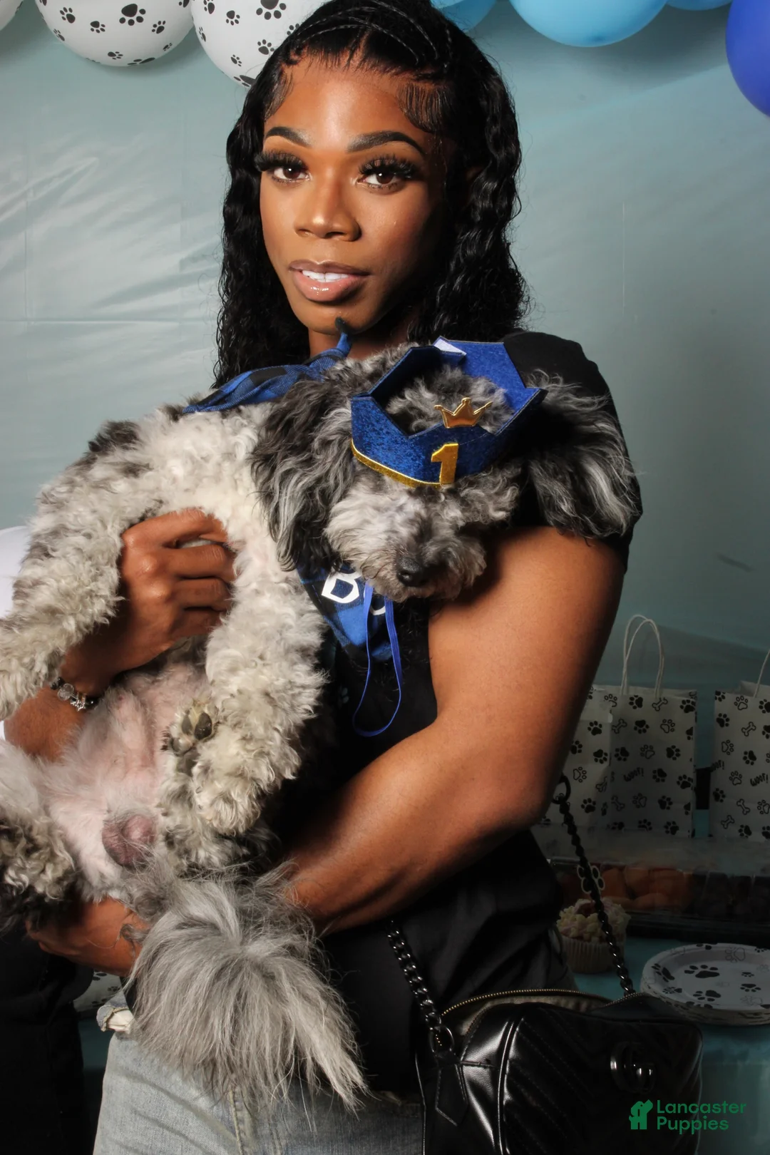 Gallery Image {{count}}