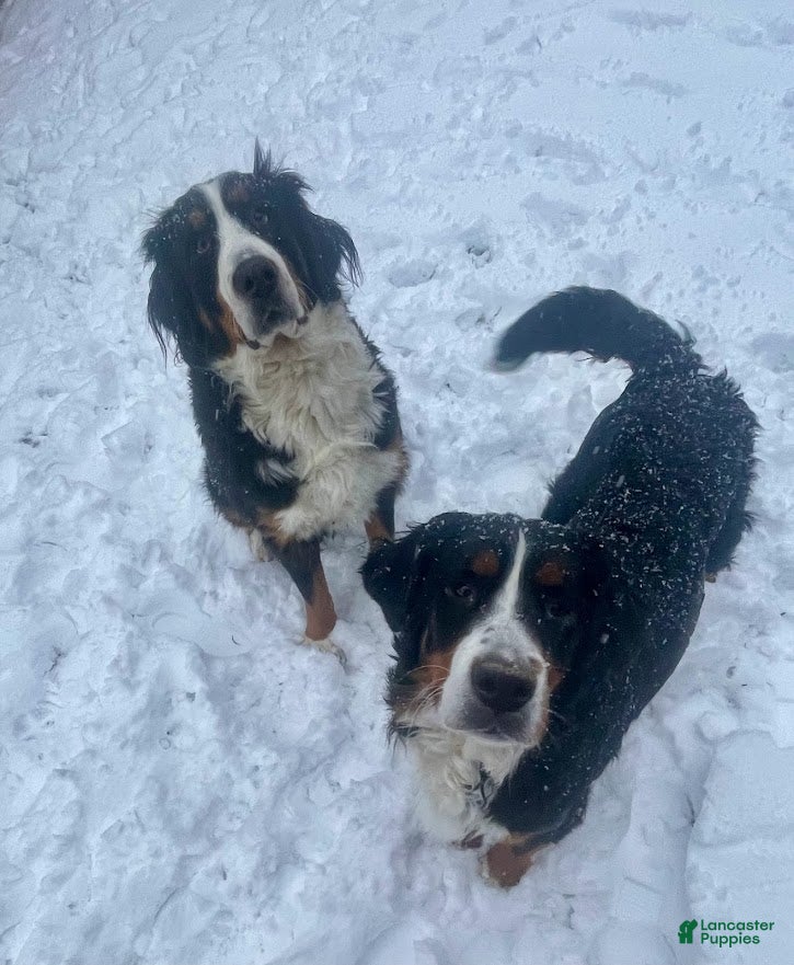 Rory and Bonnie 