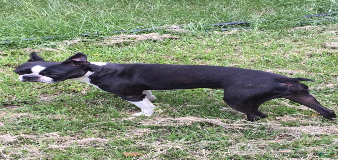 Gallery Image {{count}}