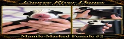 Great Dane dogs for sale: Great Dane 2 - Ad 1