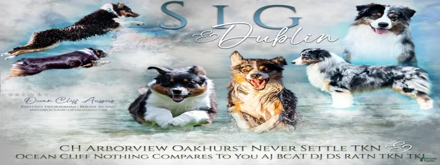 Arborview Oakhurst Never Settle 