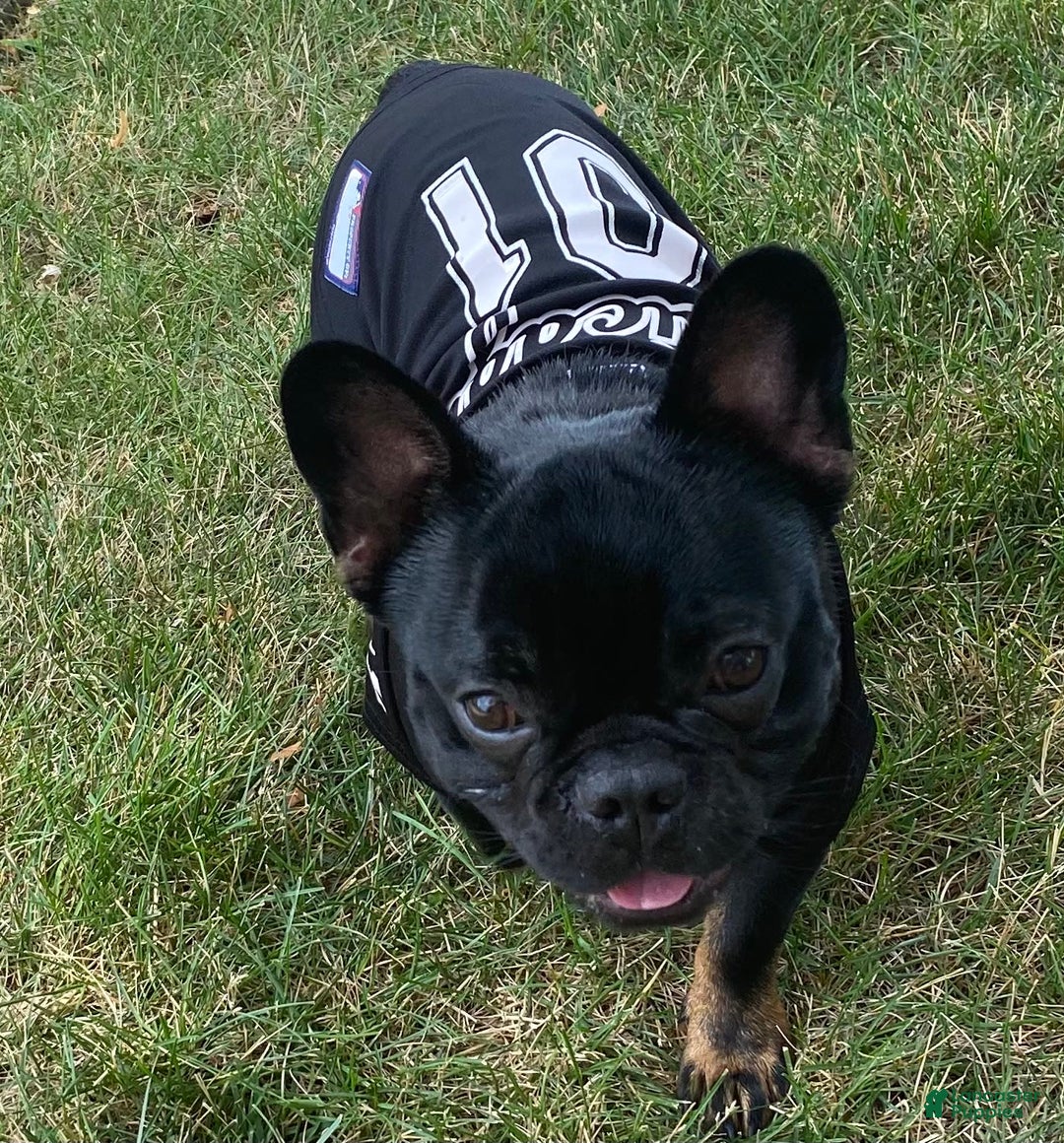 Gallery Image {{count}}