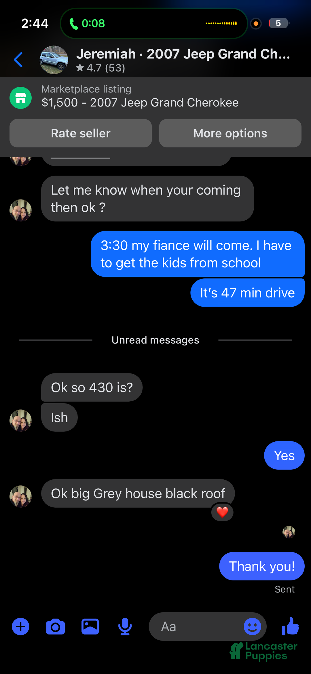 American Bully dogs for sale: Milli - Ad 28