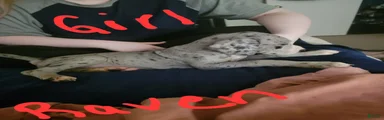 Great Dane 6