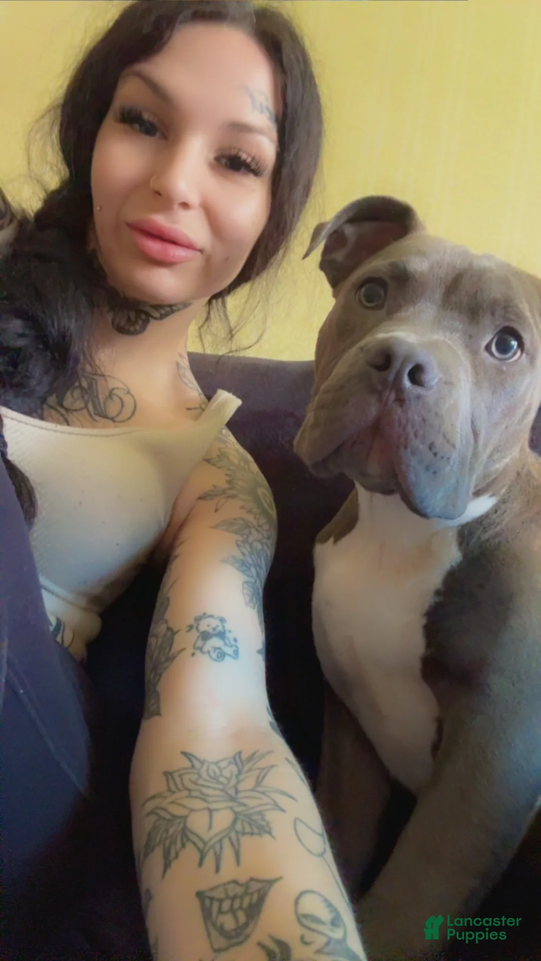 Gallery Image {{count}}