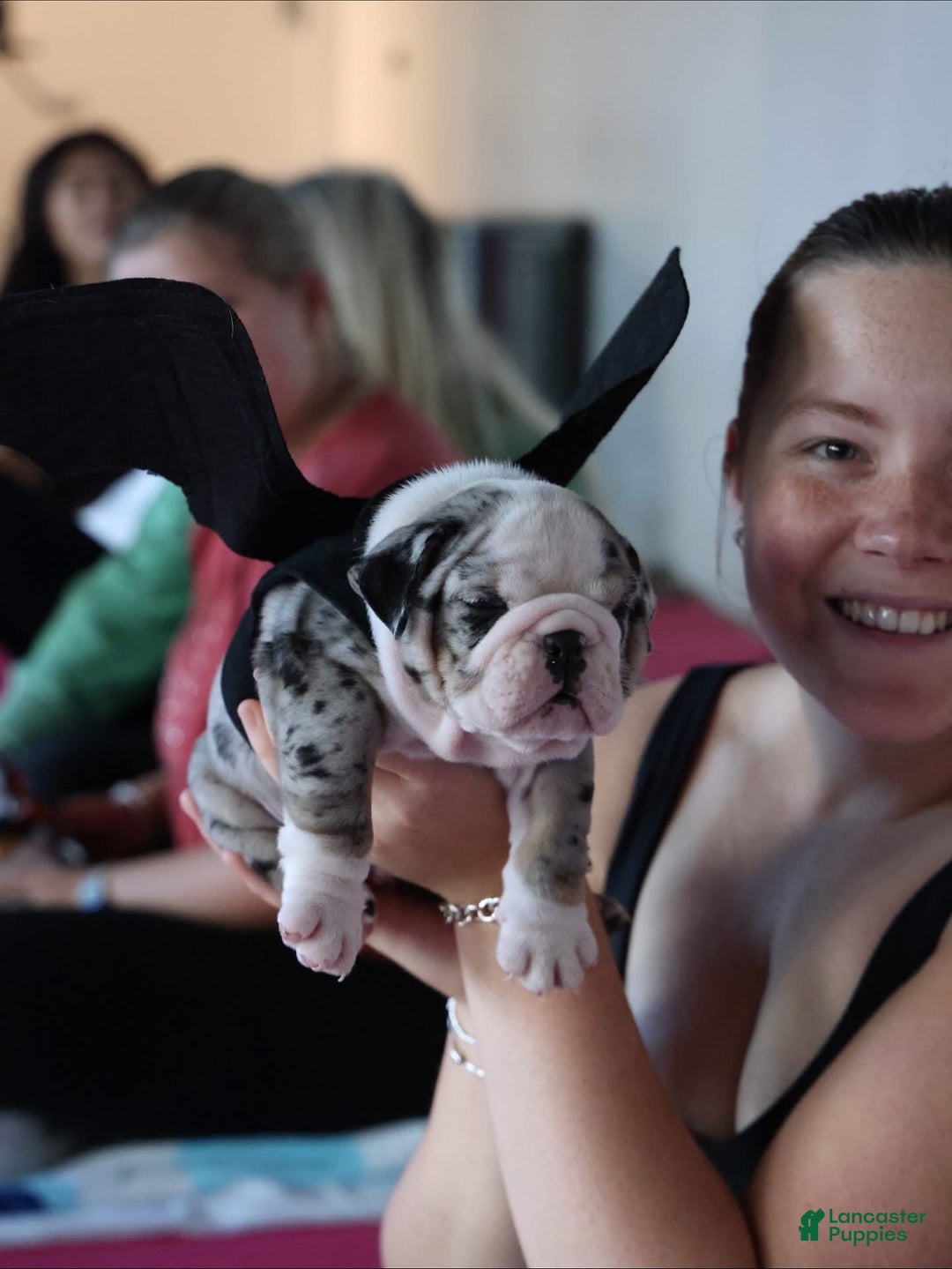 Gallery Image {{count}}