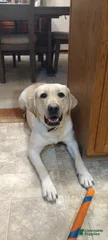 Sadie
