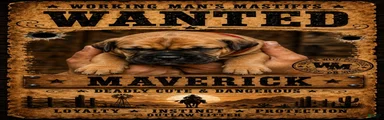 Maverick 