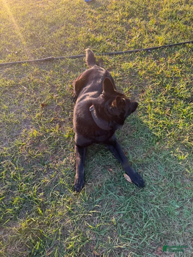 Gallery Image {{count}}