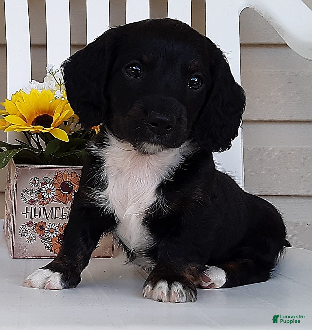 Gallery Image {{count}}