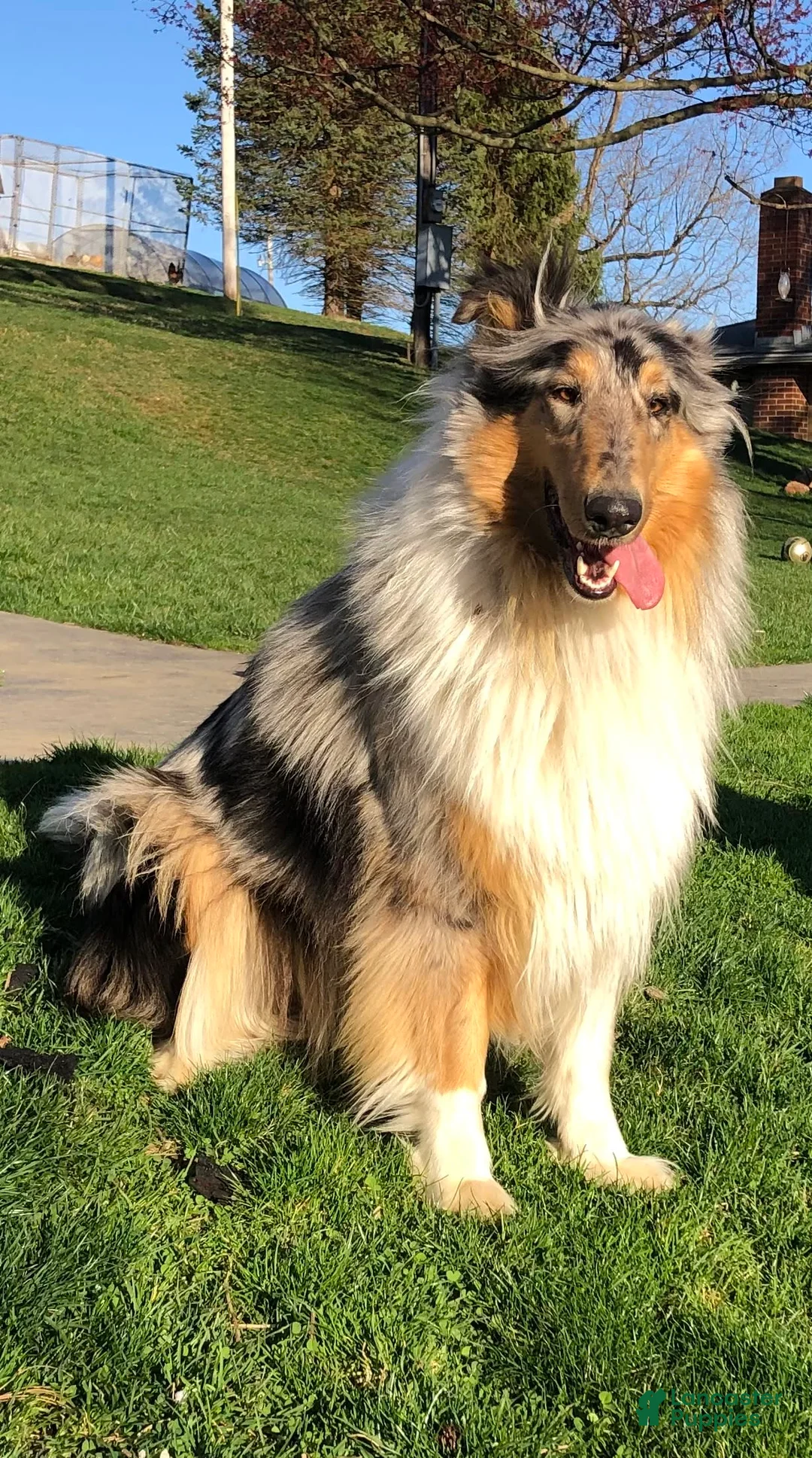 Gallery Image {{count}}