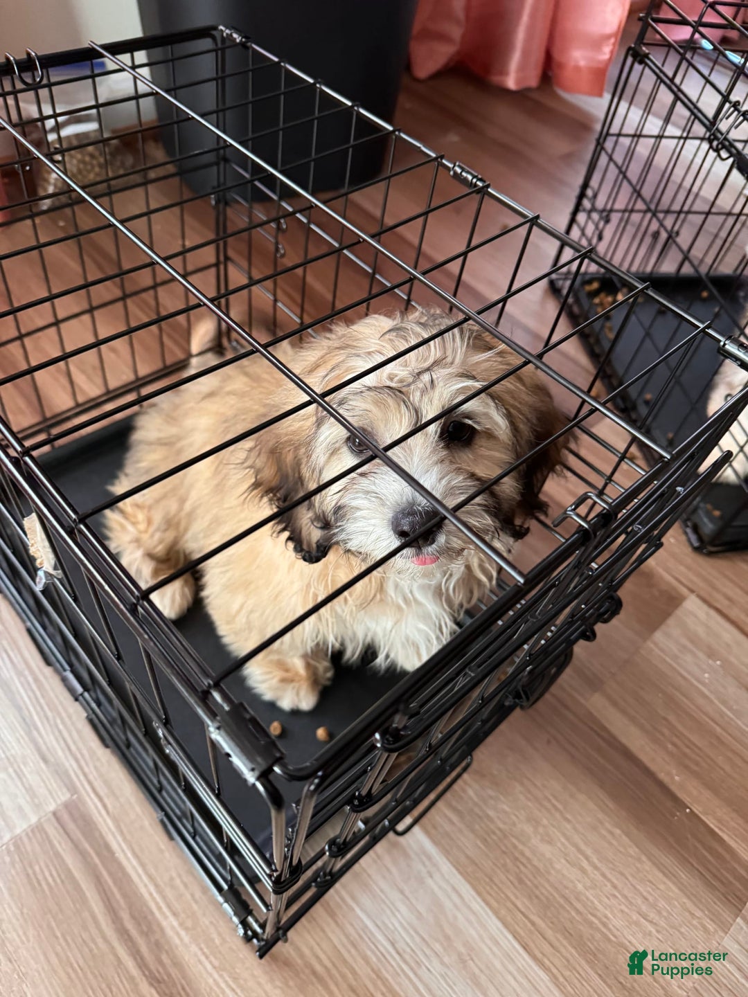 Gallery Image {{count}}