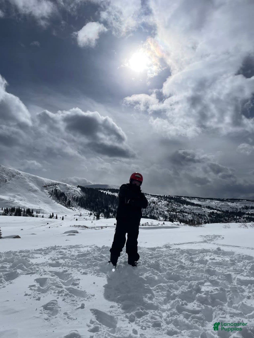 Gallery Image {{count}}