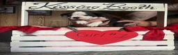 Olde English Bulldogge dogs for sale: Olde English Bulldogge 1 - Ad 16