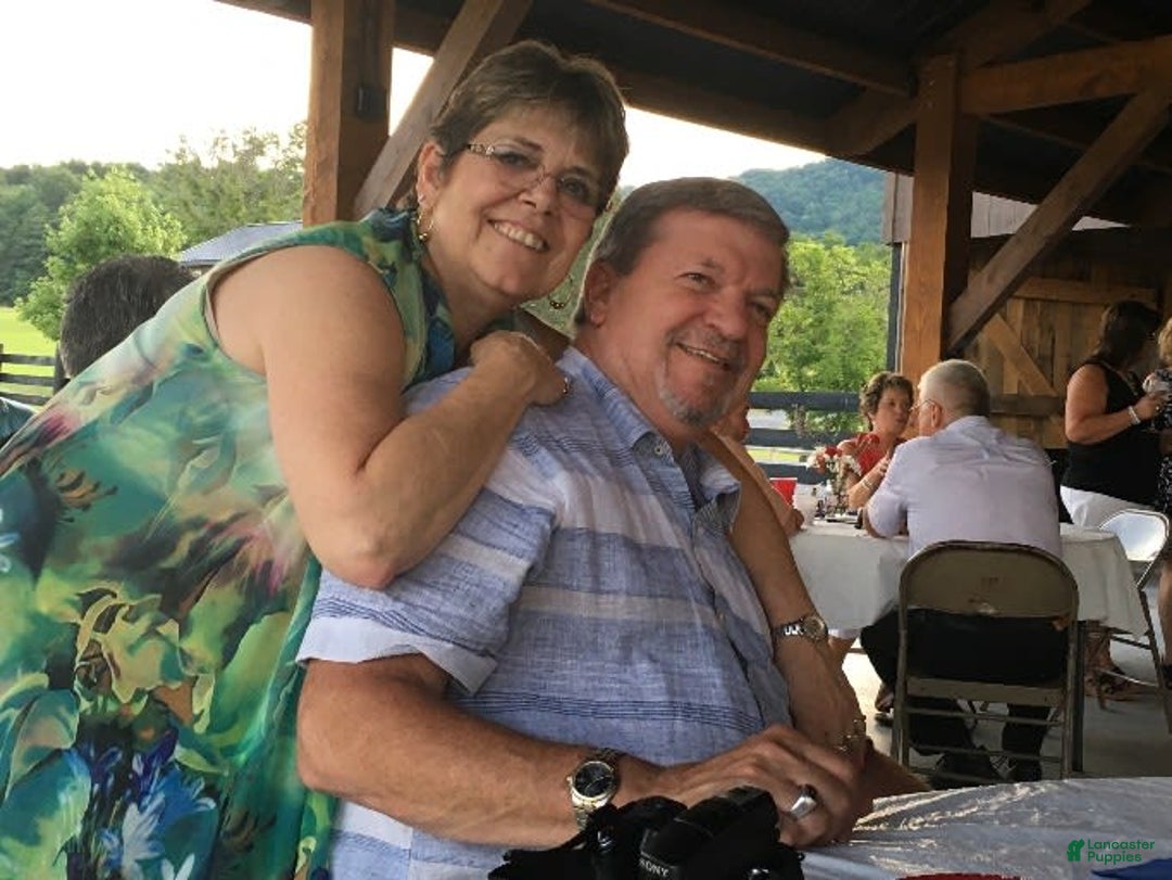 Gallery Image {{count}}