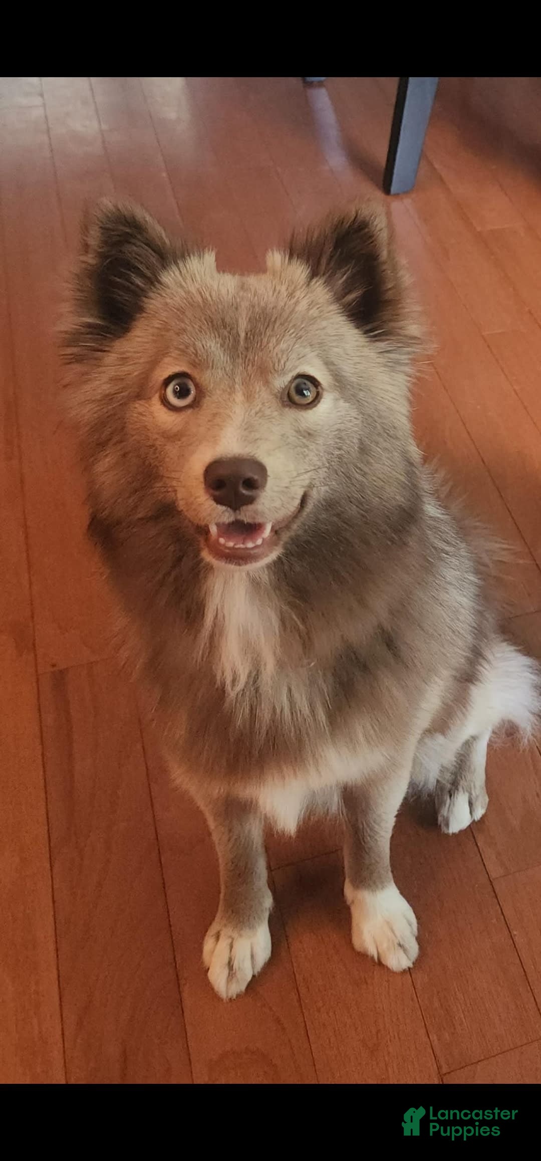 Gallery Image {{count}}