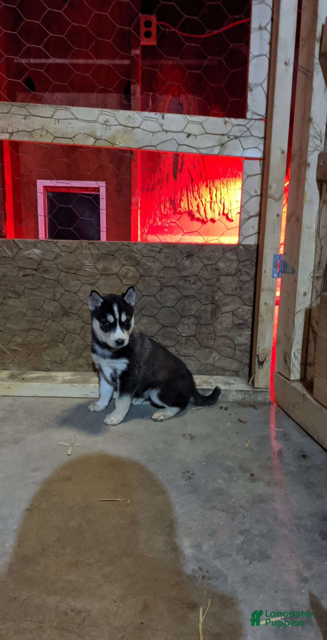 Gallery Image {{count}}