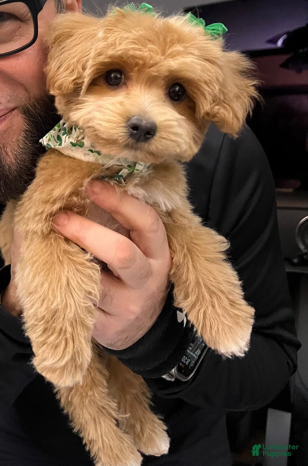 Gallery Image {{count}}