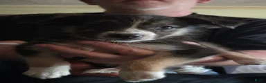 Erin